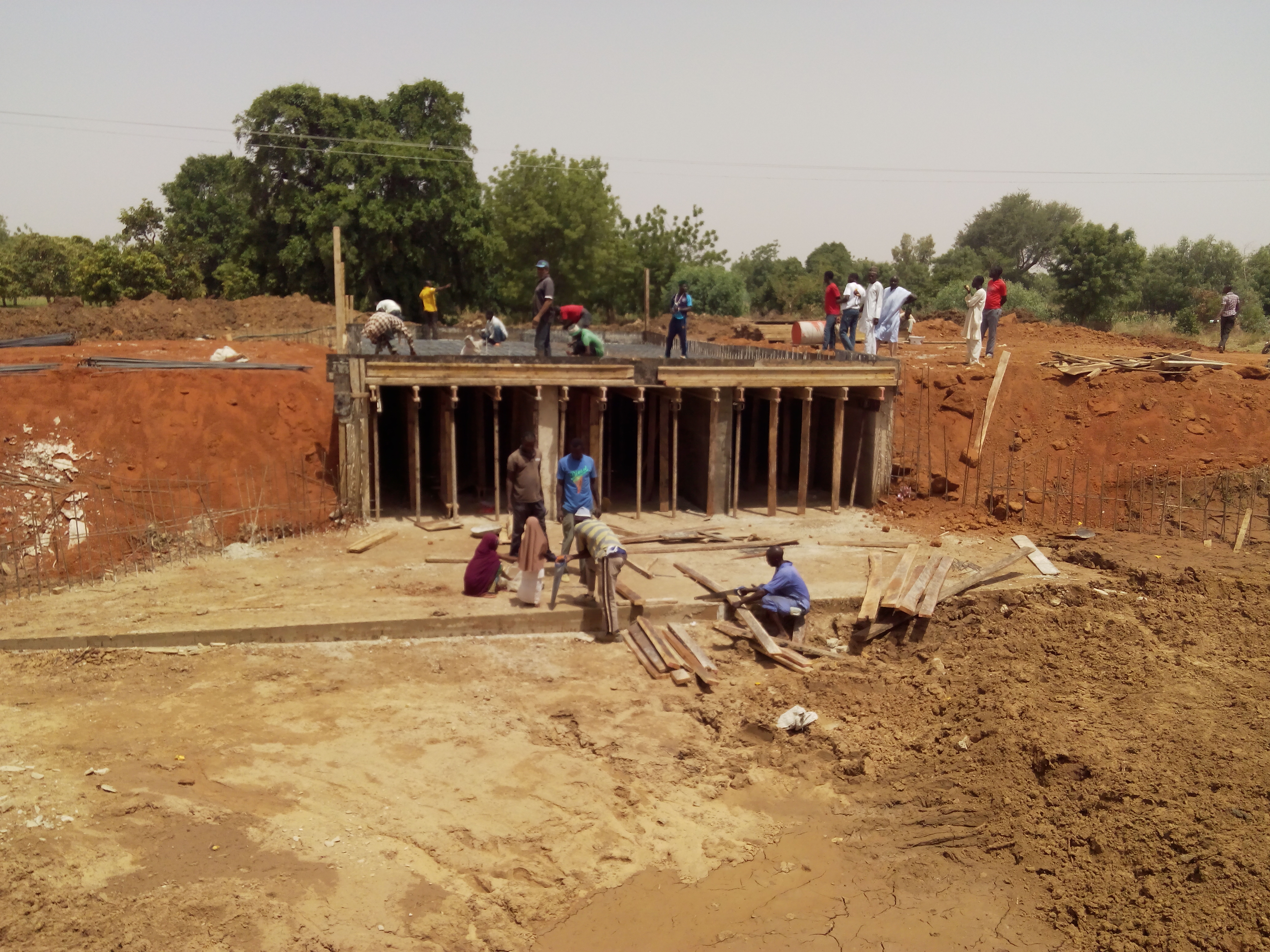 Bridge Project